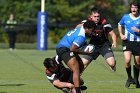 Wheaton Men's Rugby  Wheaton Men's Rugby vs Bridgewater State University.  Photo by Keith Nordstrom : Wheaton, Rugby, BSU